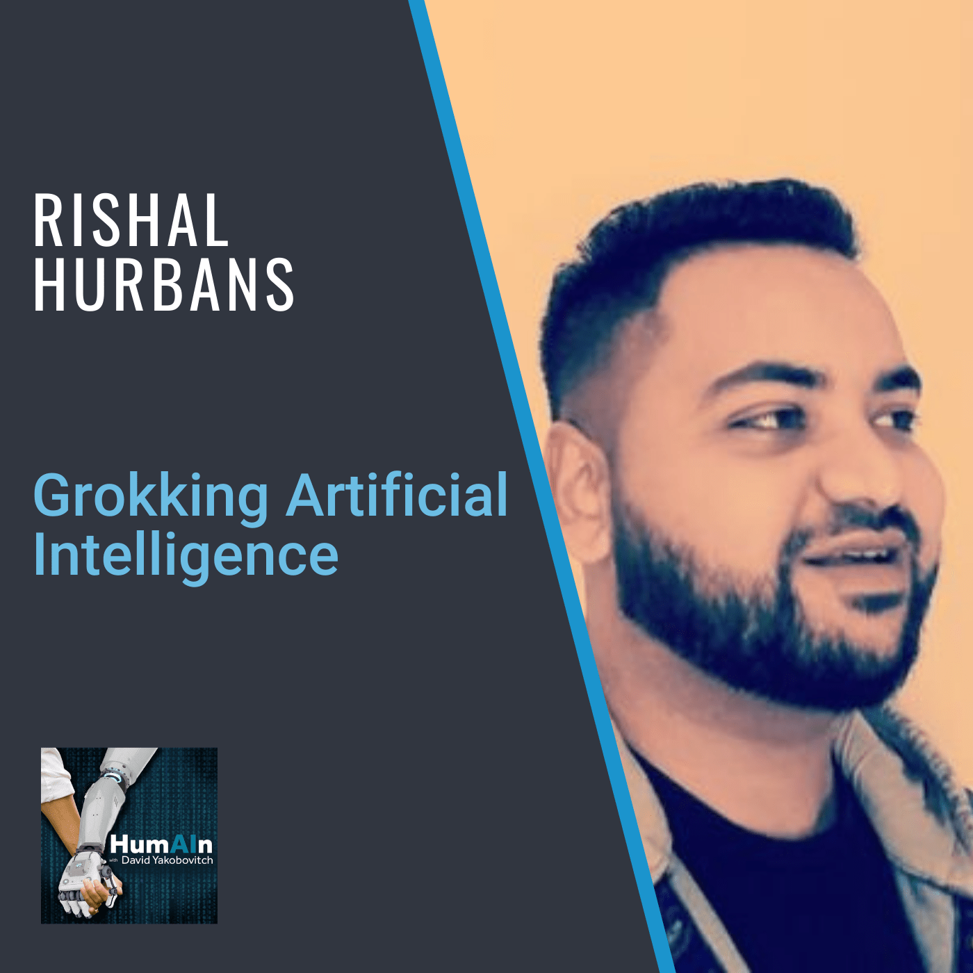 Grokking Artificial Intelligence With Rishal Hurbans Humain Podcast
